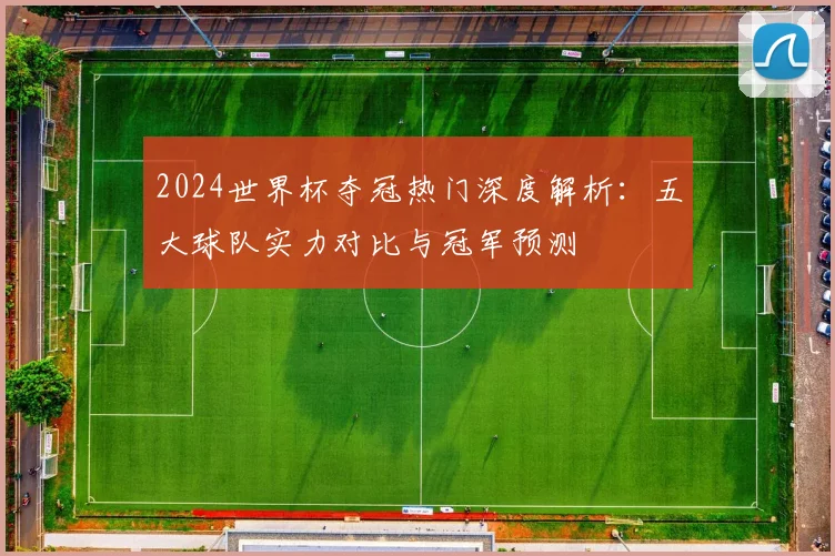 2024世界杯夺冠热门深度解析：五大球队实力对比与冠军预测