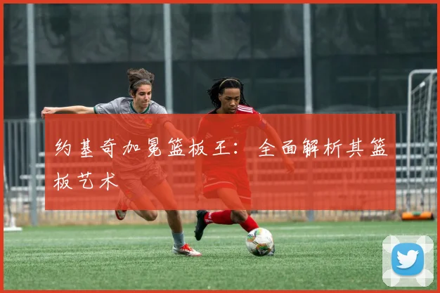 约基奇加冕篮板王:全面解析其篮板艺术